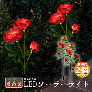 O \[[Cg K[fCg 胉Cg 2Zbg ߍݎ h  ZT[ LEDK[fCg ԏ   Ő 5փ[YCg o KN K[fjO GNX