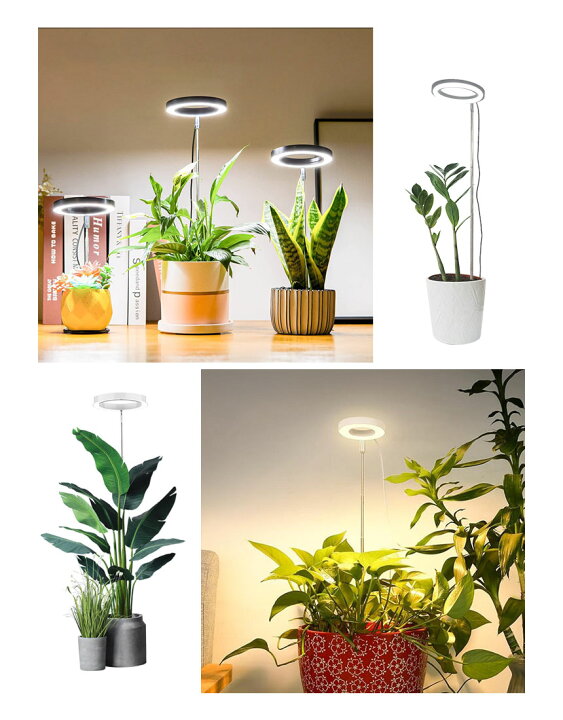楽天市場】☆P5倍 スーパーセール☆植物育成ライト LED タイマー 植物 
