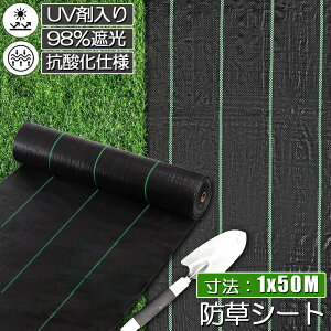 hV[g 50m X 1m V[g |pV[g GV[g UVܓ  _ ƒp |p  Gʐ  Y K[fjO ԏ ƒ؉ ϋvN3N lH G Ő DIY  