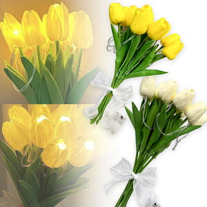 Ԍ!|Cg5{10{`[bv t[Cg 3FIׂ  LED CeA Cg ԑ  t[ [Cg u[P u[PCg uU[ht[ uU[uht