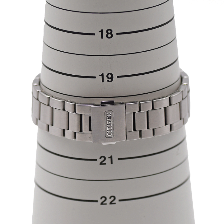 ザ・シチズン AQ4000-51L Citizen The Citizen AQ4000-51L | Sakurawatches.com
