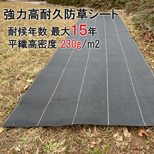 ϗpNő15N hV[g 10N  15N O[hAbv ͖hV[g 1m×50m ϗpN 12`15N 230g/  _Ɨp | ؉  |p ؍͔| ؍ _Ǝ K[fj