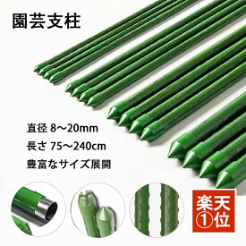 園芸支柱 イボ支柱 園芸用支柱 鋼管支柱 鋼管竹 イボ 人工 竹 若竹 【個人宅配達OK】 十字キャップ付き 植物サポート イボ付き鋼管製 十字キャップ付き 農業用支柱 家庭菜園 菜園 野菜 栽培 農業資材