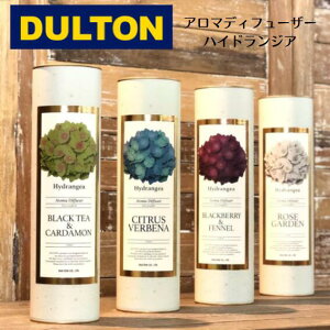 DULTON _g A}fBt[U[nChWA tOX H19-0048BL H19-1148BR H19-0048GN H19-0048RD