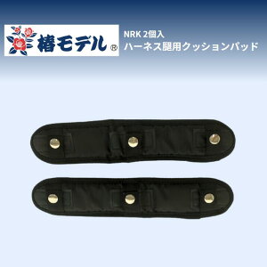 AC_ փf NRK n[lXڗpNbVpbh(2)