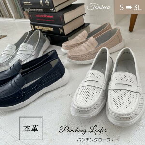 s300~N[|zztV[Y JV {v fB[X [t@[ p`O[t@[ JWA ₷ ₷ C ʋ Z[ ӂӂ NbV _炩 ʋC y