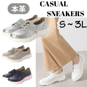 s|Cg5{16܂ŁtV[Y fB[X {v p`O {vC R JWA ₷ ₷ ʋ y ӂӂNbV ɂȂ TCY 傫TCY _炩 