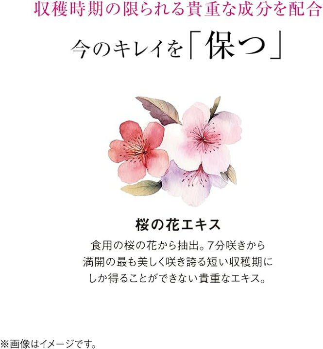 楽天市場】在庫処分限定価格即納【国内正規品】資生堂薬品ザ 