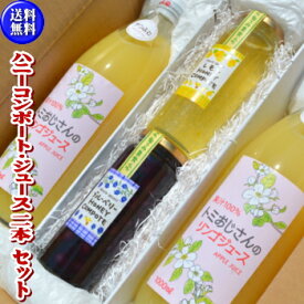 【送料無料】ハニーコンポート2本+りんごジュース2本セット！お好みで選べます【ブルーベリー・あんず・レモン・リンゴ】【ギフト】