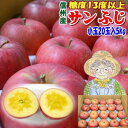 【送料無料】【CA貯蔵】糖度13度以上！長野県産サンふじ約5kg（訳あり）Cランク家庭用小玉20玉！丸かじり！シャキシャキで甘くて美味しいよ♪！信州りんご！産地...