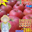 【SALE】【クール便配送】【送料無料】【CA貯蔵】糖度13度以上!長野県産サンふじ約5kg(訳あり)家庭用小玉20玉!シャキシャキで甘くて美味しいよ♪!信州り...