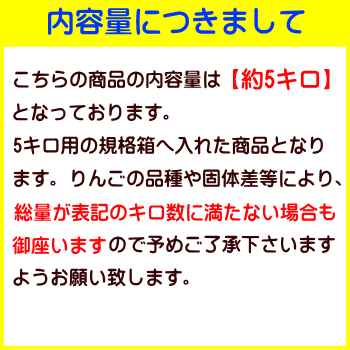 【送料無料】糖度13度以上!長野県産サンふじBランク(マル特)5kg(14-18玉)長寿の国!信州からお届けする甘〜い!完熟サンふじ!光センサー選果!【産地直送】