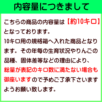 【予約】【送料無料】糖度13度以上!長野県産サンふじCランク(家庭用)約10kg(24-36玉)訳あり(キズ、色ムラなど)長寿の国!信州からお届けするサンふじ!光センサー選果!