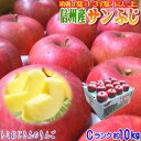 【送料無料】【CA貯蔵】糖度13度以上!長野県産 サンふじ Cランク(家庭用)約10kg(24-36玉)訳あり(キズ、色ムラなど)大玉、中玉選べます!光センサー...