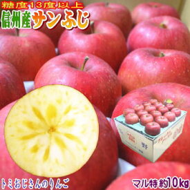 【予約商品】【送料無料】糖度13度以上！長野県産 サンふじ Bランク（マル特）約10kg（28-40玉）信州産のとても甘〜い！光センサーで厳選出荷！信州産！産地直送！