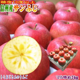 【予約】【送料無料】糖度13度以上！長野県産 サンふじ Bランク（マル特）約3kg（7-12玉）長寿の国！信州からお届けする甘〜い！完熟サンふじ！光センサーで厳選出荷！【産地直送】