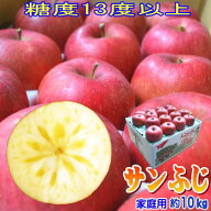 【予約】【送料無料】糖度13度以上！長野県産 サンふじ Cランク（家庭用）約10kg 訳あり（キズ、色ムラな…