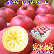 【予約商品】【送料無料】糖度13度以上！長野県産 サンふじ Bランク（マル特）約10kg（22-36玉）信州産の…