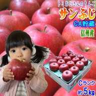 【CA貯蔵】【送料無料】糖度13度以上！長野県産 サンふじ Cランク（家庭用）約5kg（10～18玉）訳あり（キ…