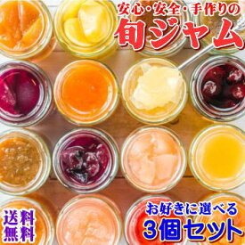 【送料無料】14種類の中から選べる旬ジャム！3個セット！信州の味を堪能してみませんか？プレゼントにおすすめ！