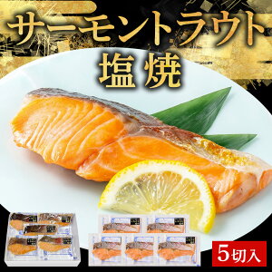 WŊȒP! T[gEg 1×5pbN ċ fpn Ⓚ ^pbN ̂Ή  j  O