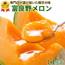 お中元 富良野 メロン 大玉Lサイズ1玉詰【1玉約1.6kg】送料無料 赤肉 メロン 贈答用 秀品 ギフト