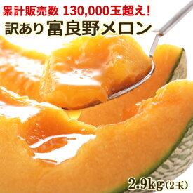 楽天市場 訳あり フルーツ 果物 食品 の通販