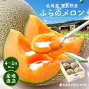 お中元 メロン 富良野メロン 4～6玉 約8.0kg 秀品 贈答用【糖度15度以上】【送料無料】【産地直送】北海道 富良野 ふらの 果物 ギフト 赤肉 フルーツ 御中元 お取り寄せグルメ 内祝い お返し 食べ物 食品 贈り物 ご予約 お取り寄せ プレゼント くだもの