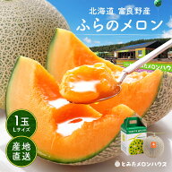 お中元 富良野メロン 1玉 約1.6kg Lサイズ 秀品 贈答用【糖度15度以上】【送料無料】【産地直送】北海道 …