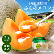 メロン 富良野メロン 2玉 約3.2kg Lサイズ 秀品 贈答用【糖度15度以上】【送料無料】【産地直送】北海道 …