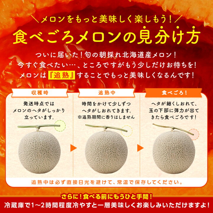 楽天市場】訳あり メロン 約2.9kg［2玉入］送料無料 北海道産（富良野 