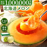 訳あり メロン 約8kg[3〜6玉入] 送料無料 北海道産（富良野メロン、他）ハネメロン 果物 赤肉 メロン フ…