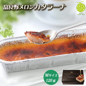 xǖ상J^[i MTCY 120g Ⓚ Ⓚَq kC xǖ J^[i  t[c mَq Mtg NX}X Ε Ε 䒆  j  v[g 蕨 