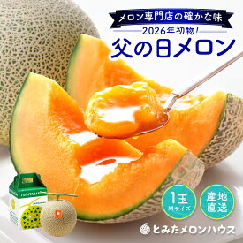 父の日 富良野メロン 1玉 約1.35kg Mサイズ 初物 朝もぎ【糖度15度以上】【送料無料】【産地直送】メロン 北海道 富良野 ふらの 果物 赤肉 ギフト 赤肉メロン フルーツ めろん お取り寄せグルメ 食べ物 食品 贈り物 ご予約 プレゼント 御中元 お中元