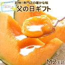 父の日【遅れてごめんね】 富良野メロン M2玉詰(1玉約1.3kg) 送料無料 メロン 初物 6月出荷!朝もぎ発送”じゅわぁ〜っ”と滴る果汁♪ プレゼント 赤肉...