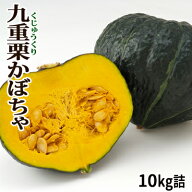 かぼちゃ 九重栗 10kg詰 [4玉〜8玉入]北海道 富良野産 送料無料 野菜 秋野菜 グルメ お取り寄せ ギフト …