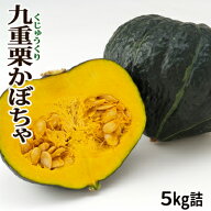 かぼちゃ 九重栗 5kg詰 [2玉〜4玉入]北海道 富良野産 送料無料 野菜 秋野菜 グルメ お取り寄せ ギフト 贈…
