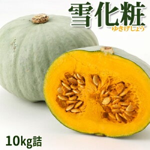 y\zڂ ቻ 10kgl[4ʁ`7ʓ]y10㔼ȍ~̔Jn\zkC xǖY   H O  Mtg 蕨  j Ԃ