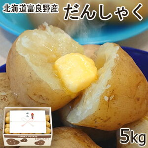 y\zႪ 񂵂Ⴍ5kg y2025NxYz݃TCY kC xǖY  H 񂵂Ⴍ j WKC Gi Ε   j j  Ԃ Mtg