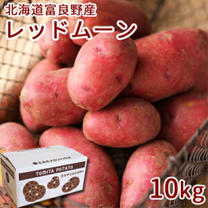 y\zႪ bh[ 10kgy2025NxYz ݃TCY kC xǖY H kC xǖ WKC Gi Ε Ε   j j Ԃ M