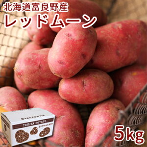 y\zႪ bh[ 5kgy2025NxYz ݃TCY kC xǖY  H kC xǖ WKC Gi Ε Ε   j j Ԃ M