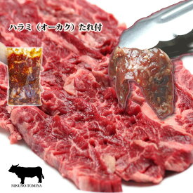 たれ付きハラミ 焼肉 1kg 800g 500g 200g ハラミ サガリ はらみ さがり ハラミ1kg 焼き肉セット 肉,バーベキューセット 肉 BBQ 肉セット bbq 肉 セット bbqセット BBQセット 炭火焼き 鉄板焼き 網焼き 2024 ギフト