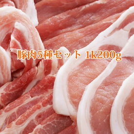 鹿児島産豚肉セット1k200g 豚ロース、豚バラ、豚モモ、こまぎれ、豚ミンチ豚カルビ 焼き肉 生姜焼き(しょうが焼き) 豚丼 しゃぶしゃぶ 水煮 鍋 テキカツ用 焼肉用 豚肉きりおとし 2024 ギフト