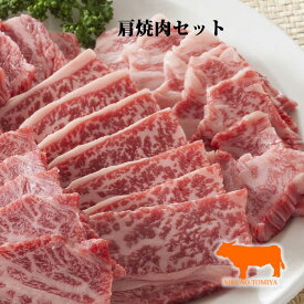 【特価】 肩肉 焼肉セット 500g 焼き肉 焼肉 国産 九州 和牛三昧 黒毛和牛肉 焼肉セット バーベキューセット 肉 送料無料和牛肉 カルビ アバラ カイノミ 肉 焼肉BBQ 誕生日 内祝 御礼 快気祝 進物 プレゼント 2024 ギフト