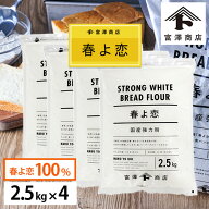 【107円クーポンあり】春よ恋 100% / 2.5kg×4個セット 10kg 小麦粉 強力粉 国産 富澤商店 製パン パン作…