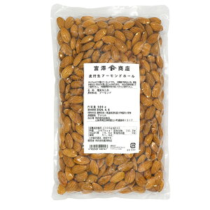 y11ߕiztA[hz[ / 500gy xVX  z