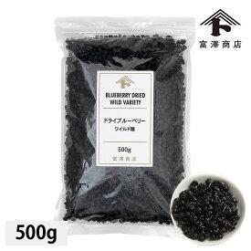 ドライブルーベリー（ワイルド種） / 500g【 富澤商店 公式 】