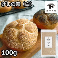 けしの実（白） / 100g【 富澤商店 公式 】