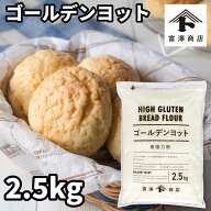 最強力粉 ゴールデンヨット（日本製粉） / 2.5kg【 富澤商店 公式 】