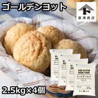 最強力粉 ゴールデンヨット（日本製粉） / 2.5kg×4個セット【 富澤商店 公式 】